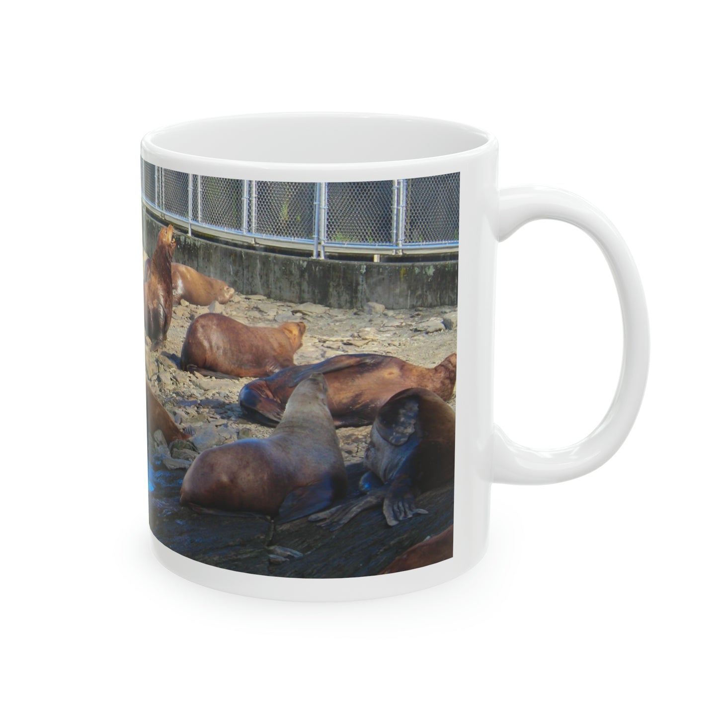 Sound Coastline Mug, 11oz