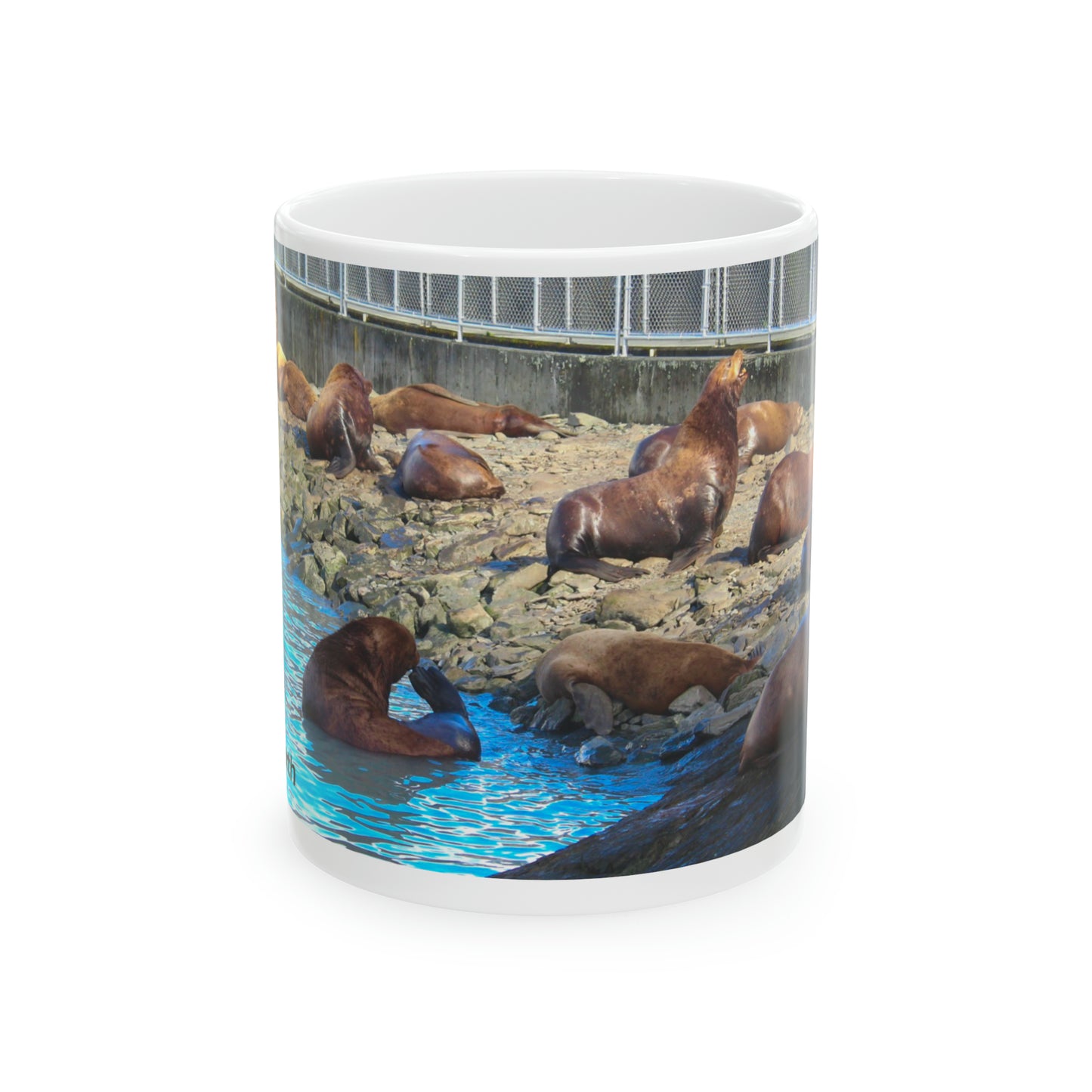 Sound Coastline Mug, 11oz