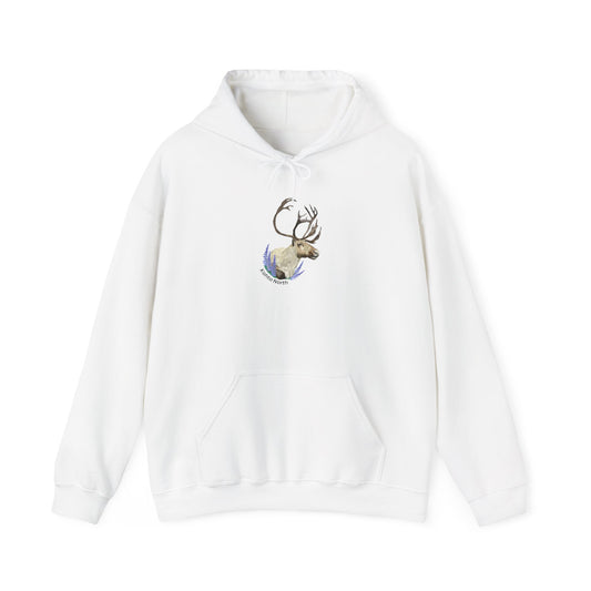 Caribou Everyday Hoodie